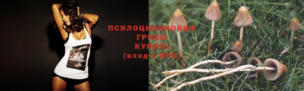 соль курить ск Бугульма