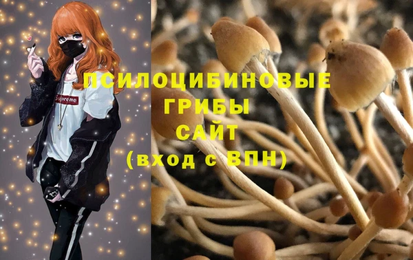 мяу мяу кристалл Бородино