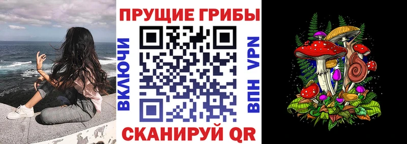 кракен   Чита  Галлюциногенные грибы Magic Shrooms 